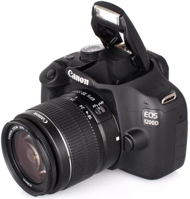 Canon 1200D professionelle Bewertungen