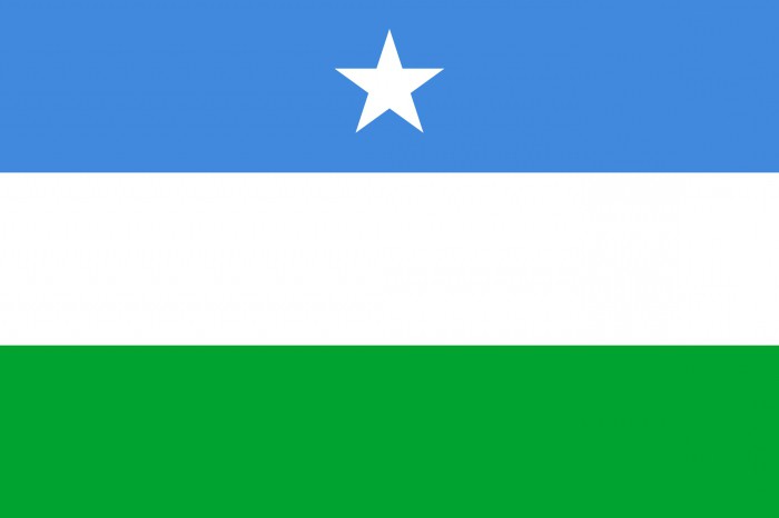 Hvordan ser Somalias flag ud?