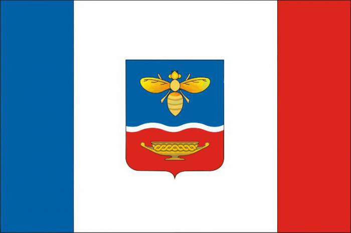 Simferopol flagga