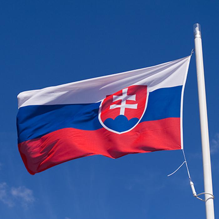 Slovakijos vėliava