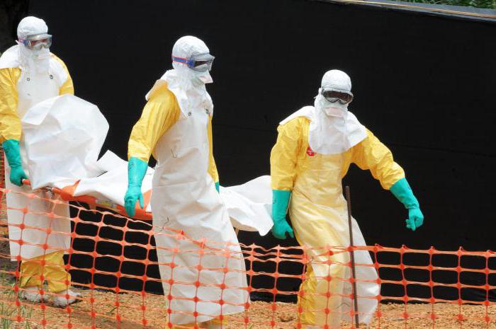 Где је нестала ебола?