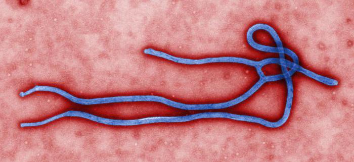 Ebola -vaccine