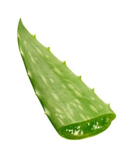 aloe-behandling