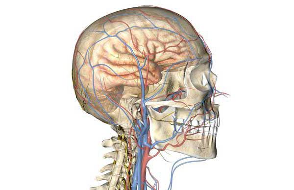 cerebrální angioedém mozkových cév