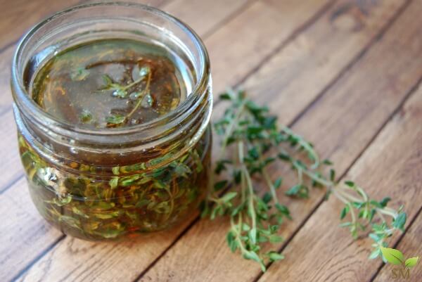 thyme use in traditional medicine