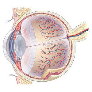 patologie sclera