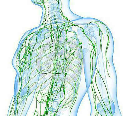 Lymphome folliculaire