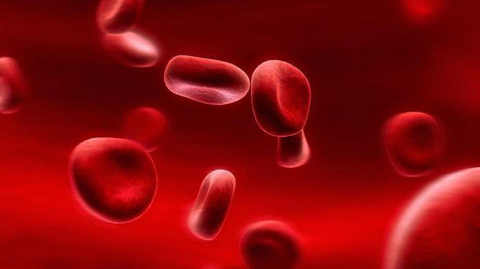  Wie sollte die Hämoglobinrate bei Frauen sein?