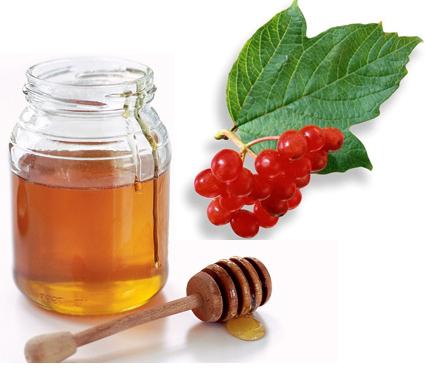 viburnum met honing