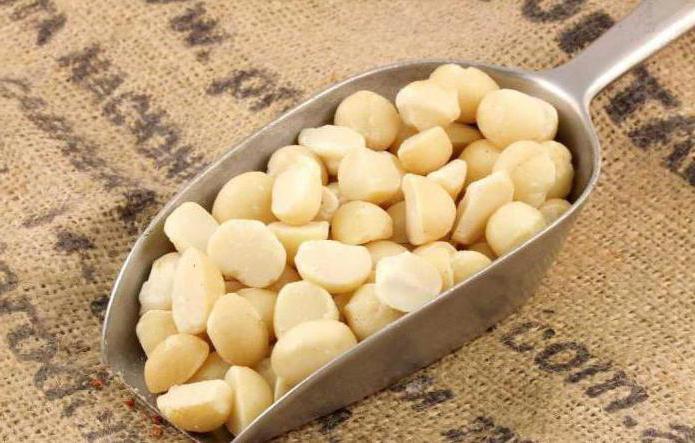 nueces de macadamia opiniones 