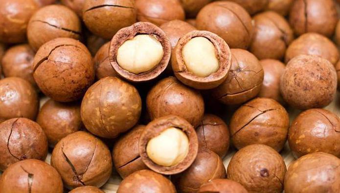 propiedades y aplicaciones del aceite de macadamia 