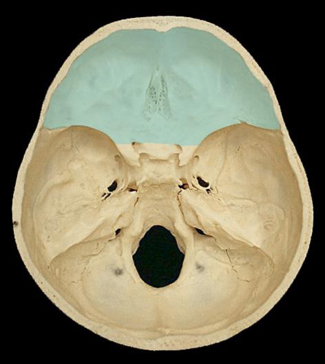 leziuni ale bazei craniului