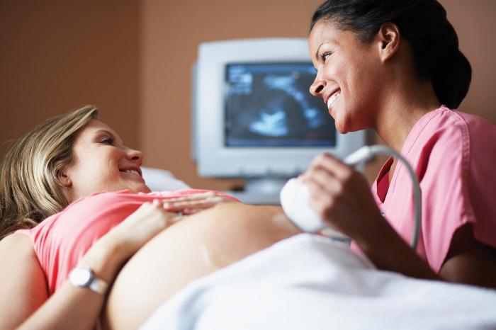 forberedelse for ultralyd av bukhulen og nyrene hos gravide