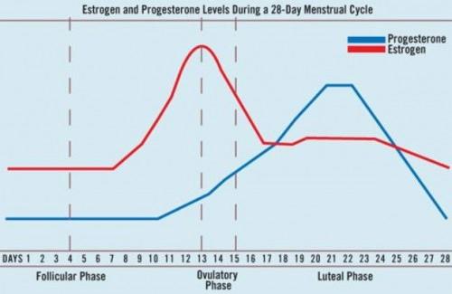 hvilken dag å ta progesteron?