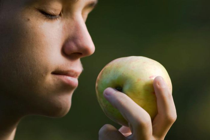 Program de nutriție și antrenament pentru slăbire 