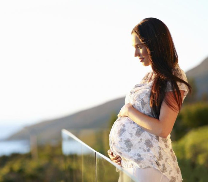 struttura dell'ovaio femminile